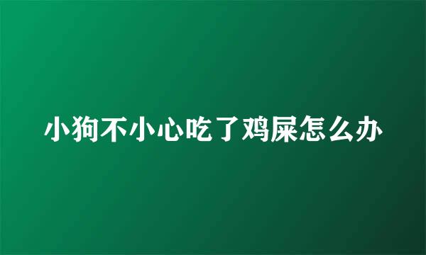 小狗不小心吃了鸡屎怎么办