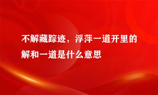 不解藏踪迹，浮萍一道开里的解和一道是什么意思