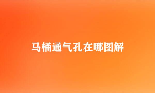 马桶通气孔在哪图解