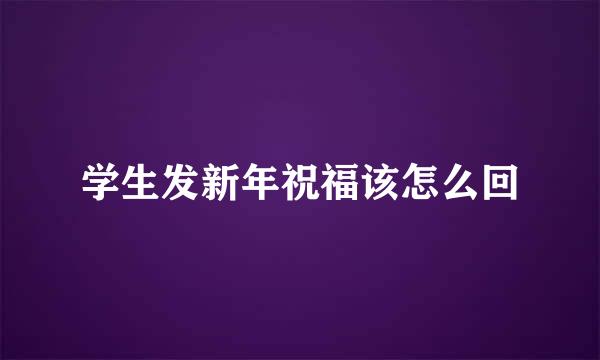 学生发新年祝福该怎么回