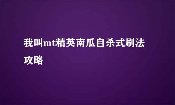 我叫mt精英南瓜自杀式刷法攻略