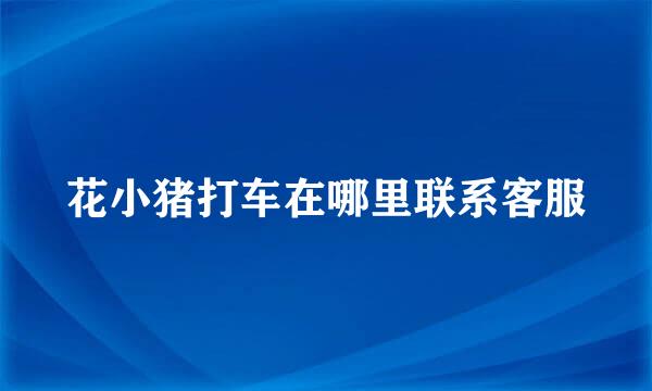 花小猪打车在哪里联系客服